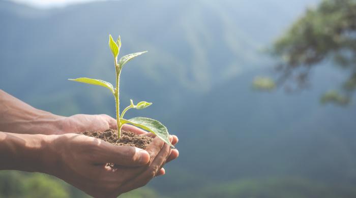 Как понятие ESG связывает экологию, бизнес и инвестиции